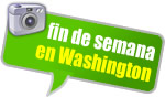 Curso de inglés en Nueva York